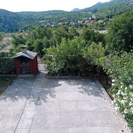 Villa Alexa Cesarica Eksteriør bilde
