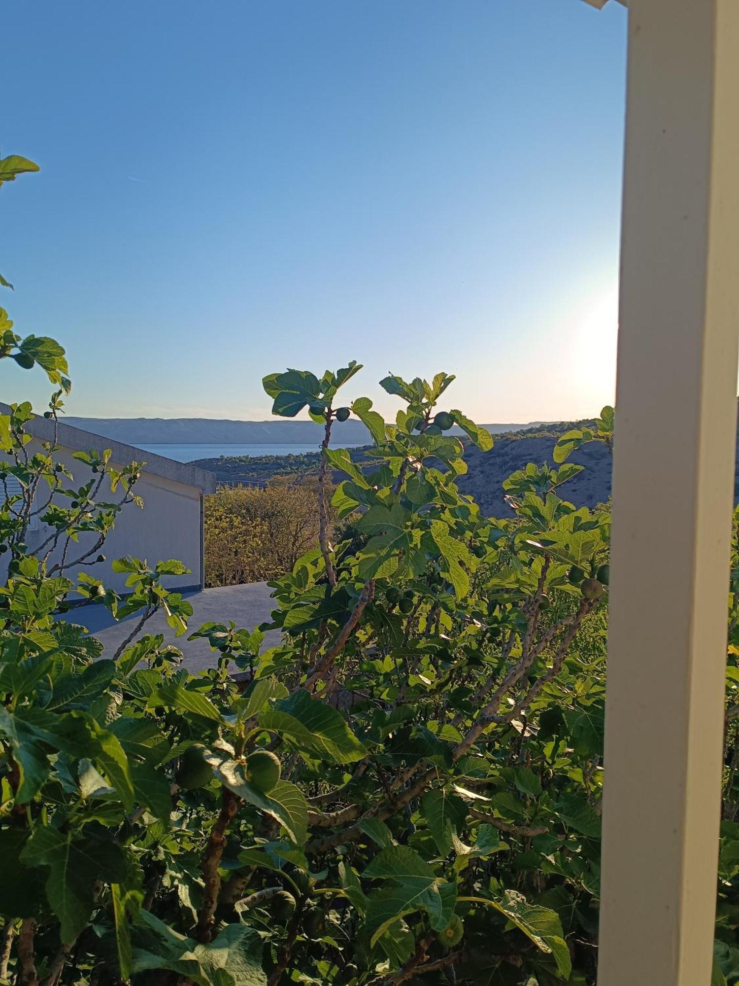 Villa Alexa Cesarica Eksteriør bilde